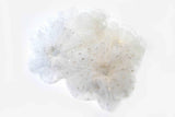 Ivory Matte Fluffy Scrunchie