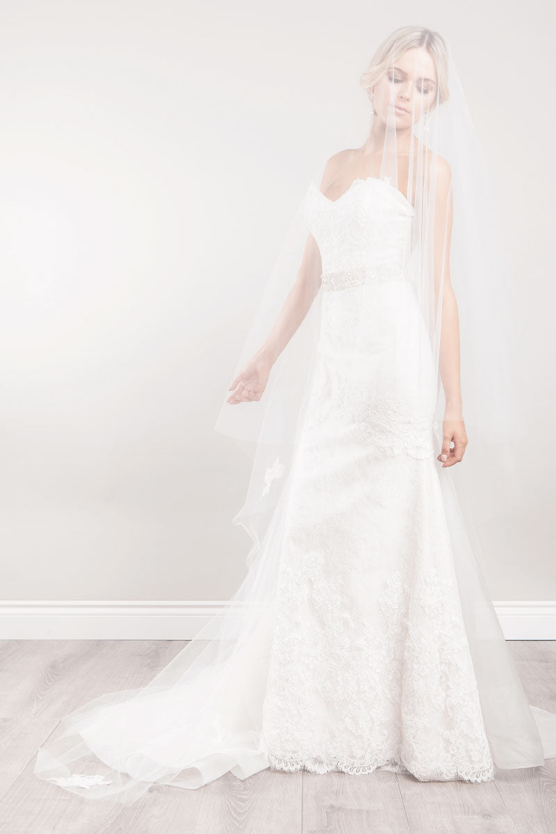 Andrea Chapel Length Lace Veil - Sample Sale